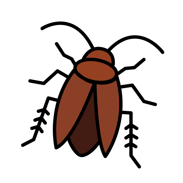 visuel cafard dessiné