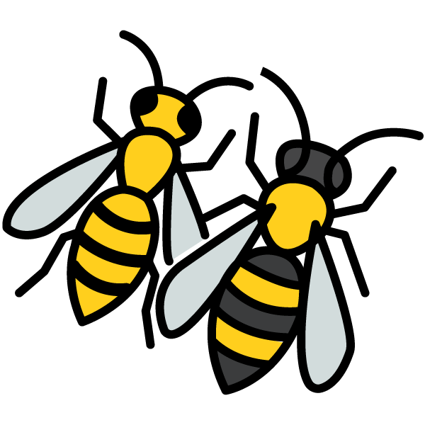 visuel guêpe et frelon dessinés