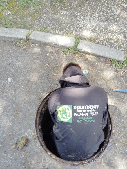 technicien Deratisenet entrain de dératiser les égouts